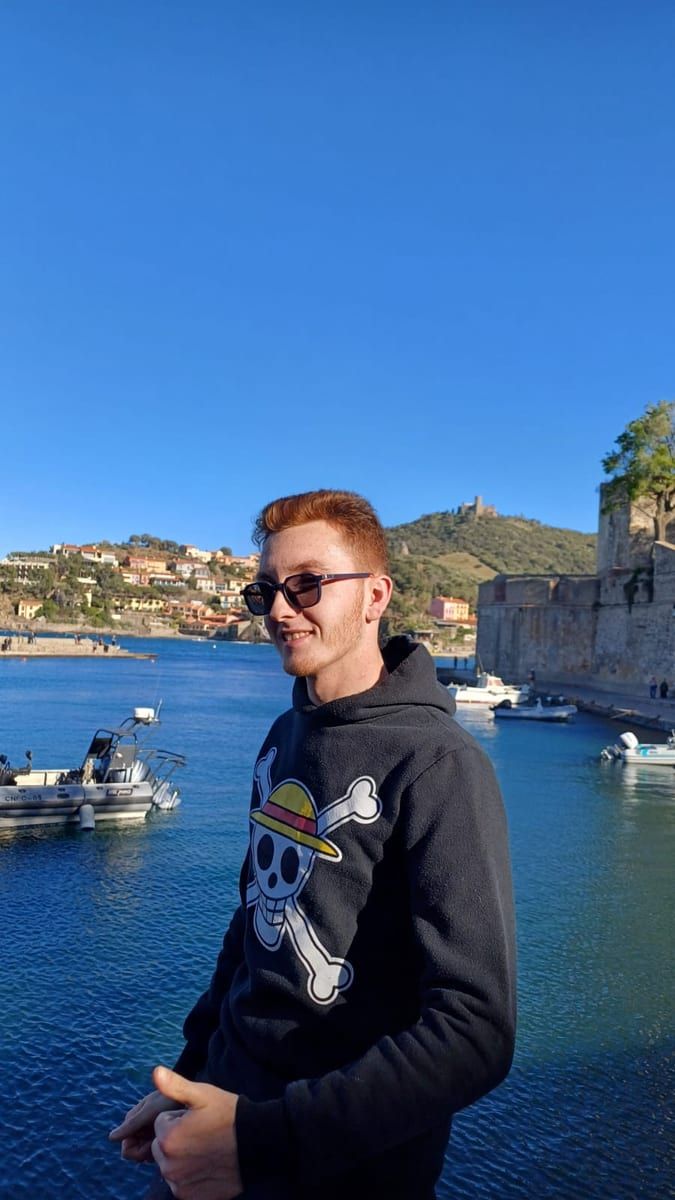 Perfil de Diego